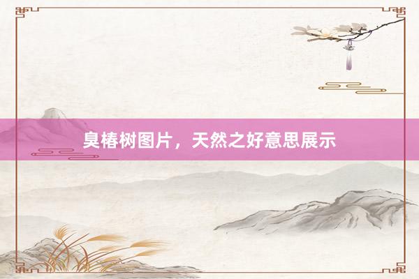 臭椿树图片，天然之好意思展示
