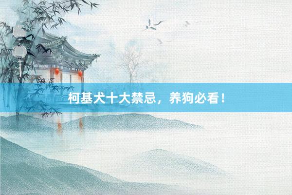 柯基犬十大禁忌，养狗必看！