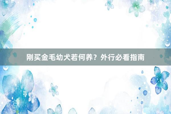 刚买金毛幼犬若何养？外行必看指南
