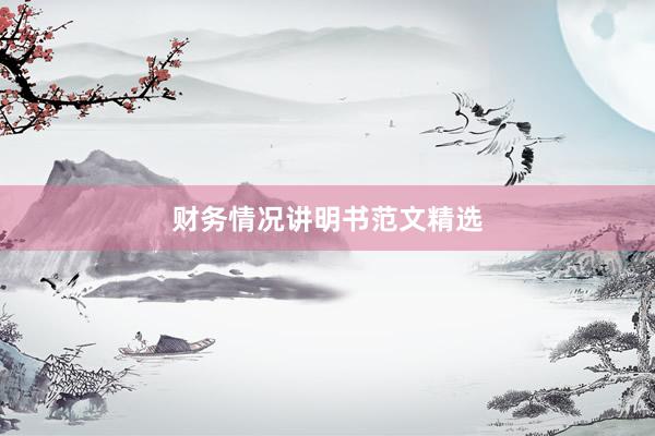 财务情况讲明书范文精选