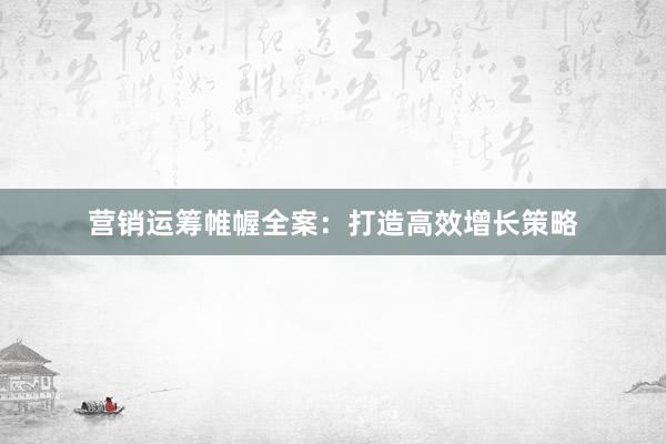 营销运筹帷幄全案：打造高效增长策略